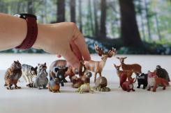 Les animaux de tout le monde de Jacques Roubaud