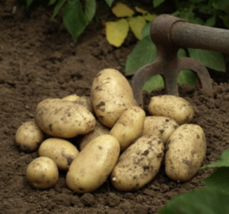 Capture d’écran 2026-04-18 à 10.29.32