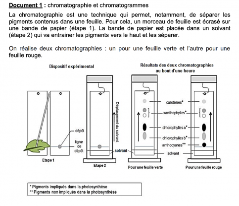 Capture d’écran 2026-04-19 à 09.54.06
