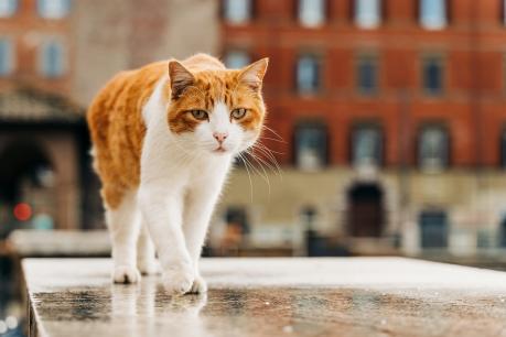 gabriella-clare-marino-ES7_10iNRsY-unsplash