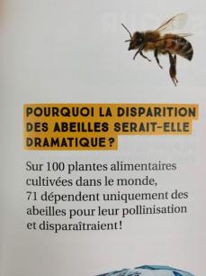 Pourquoi la disparition des abeilles... ?