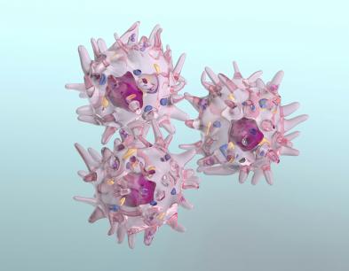 SVT Virus